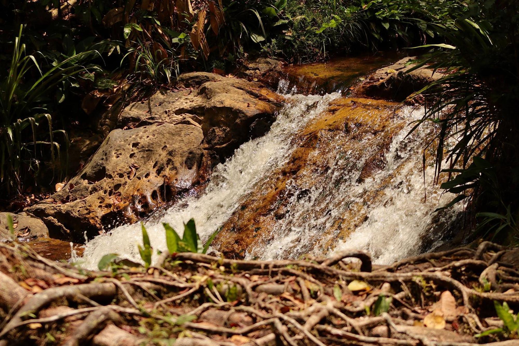 Pousada Paraiso Do Calango Azul Presidente Figueiredo Exteriér fotografie