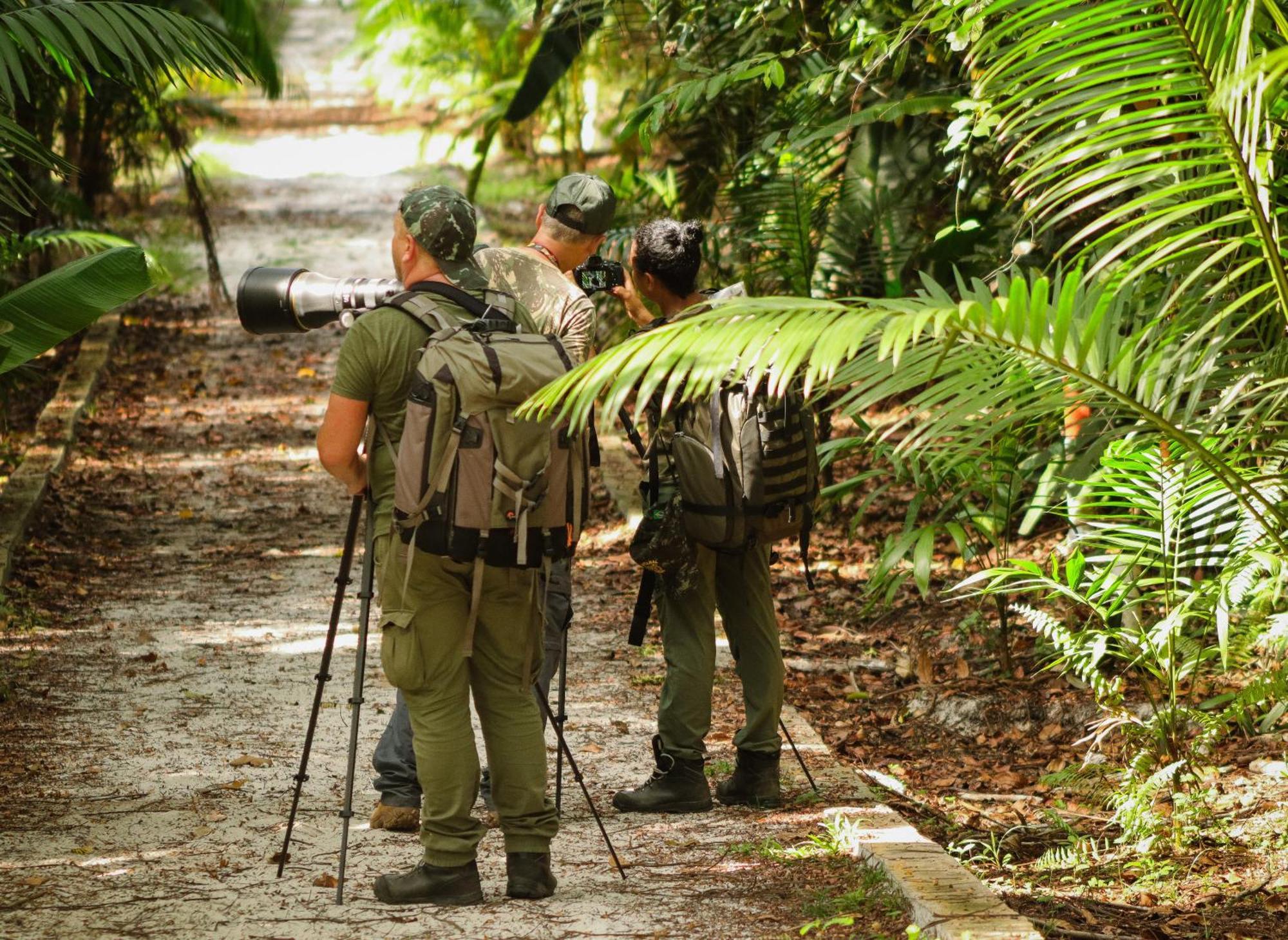 Pousada Paraiso Do Calango Azul Presidente Figueiredo Exteriér fotografie